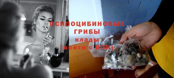 а пвп мука Алзамай