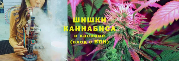 прущие грибы Алексин