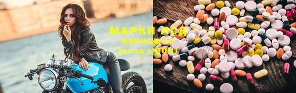 прущие грибы Алексин
