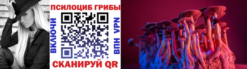 сколько стоит  Шелехов  Псилоцибиновые грибы GOLDEN TEACHER 